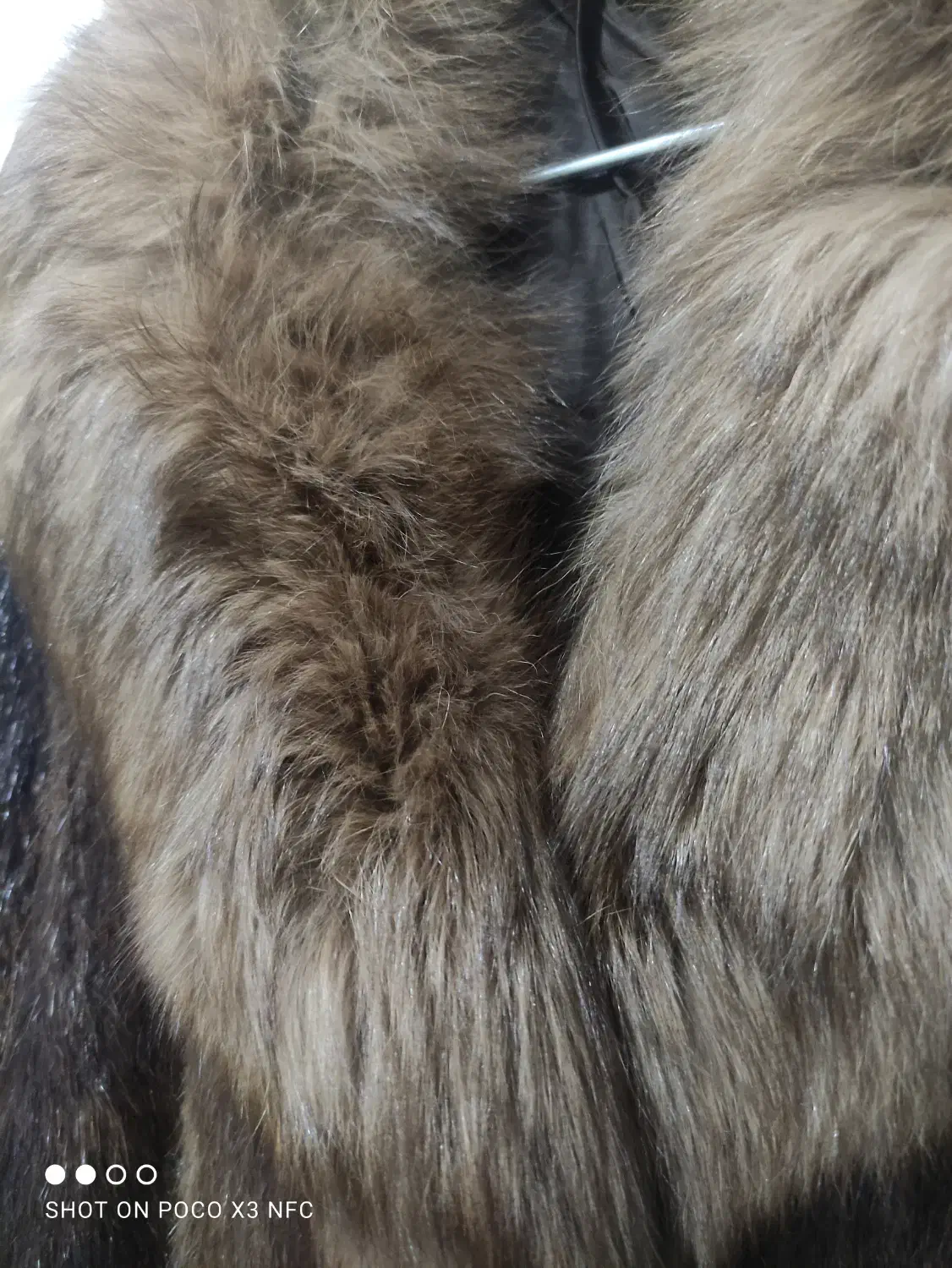 پالتو پوست چیلچیلا اصل|لباس|کرج, انبار مپنا|دیوار