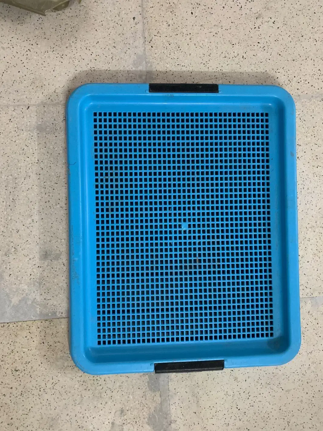 پت ، سینی جیش سگ|لوازم جانبی حیوانات|ری, علایین|دیوار