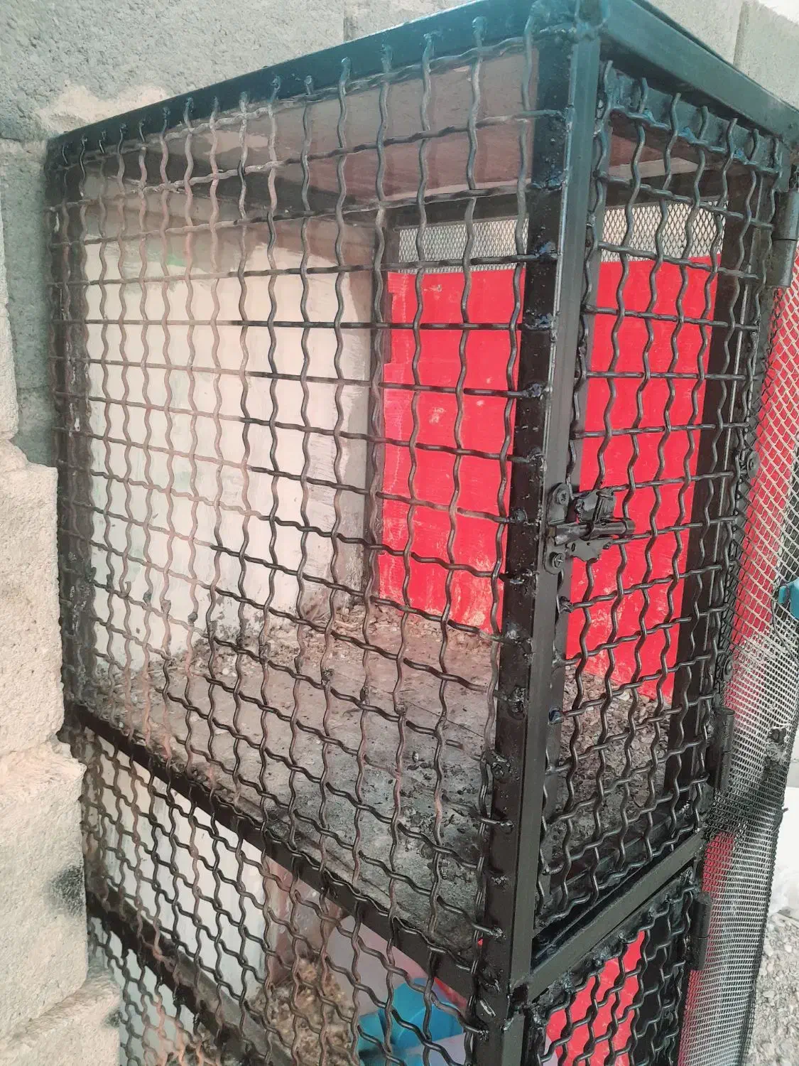 جفت کن اهنی کفتر کبوتر|لوازم جانبی حیوانات|آباده, |دیوار