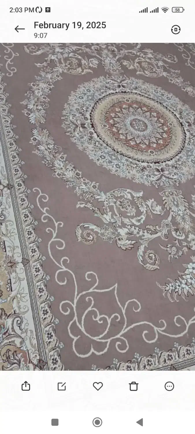 فرش|فرش|شاهینشهر, نبوت|دیوار