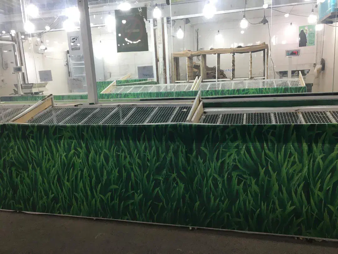 فروش وسایل کامل میوه فروشی|فروشگاه و مغازه|شیراز, سفیرشمالی|دیوار