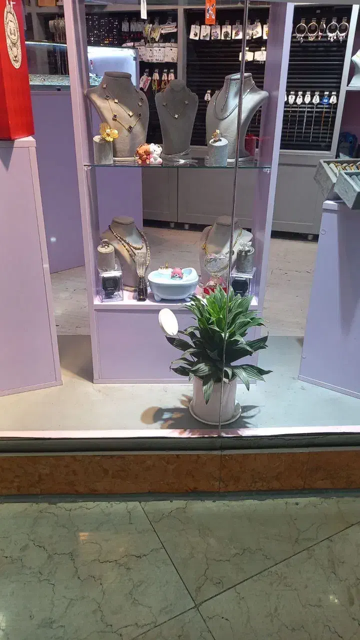 دکور مغازه|فروشگاه و مغازه|ری, علایین|دیوار