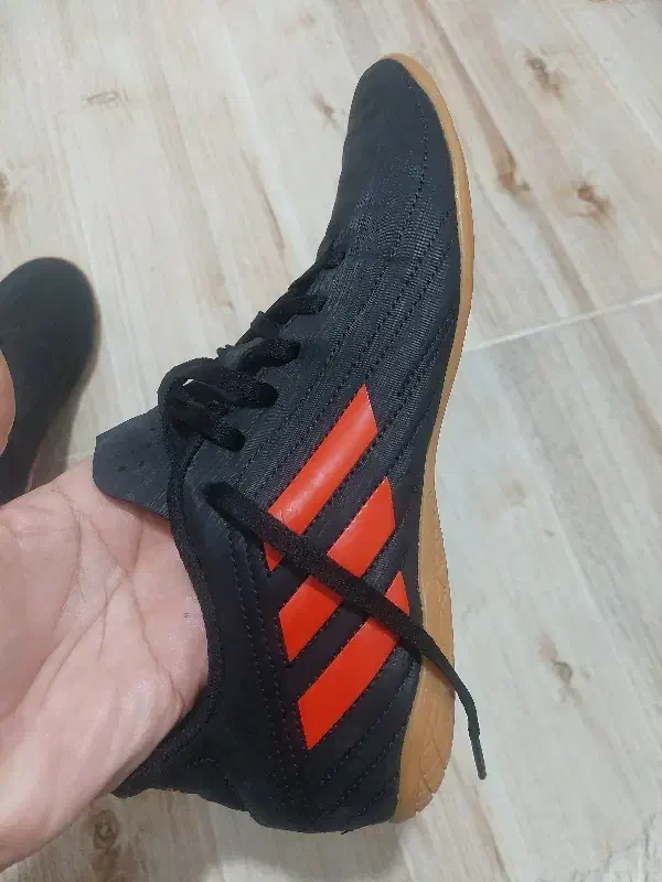 کتونی اورجینال فوتسال|کیف، کفش، کمربند|نکا, |دیوار