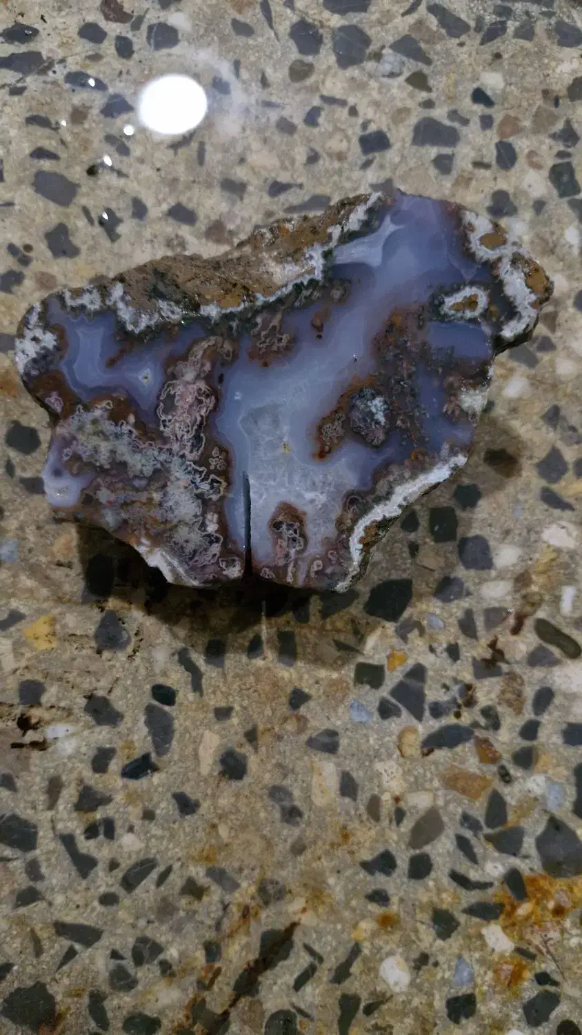 سنگ شجر راف پاییزه خراسان|زیورآلات و اکسسوری|الیگودرز, |دیوار