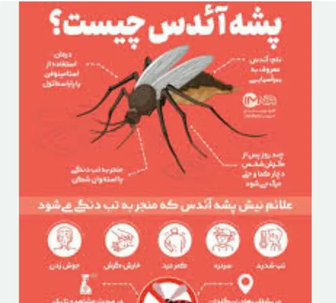 پشه ائدس|خدمات نظافت|کیش, |دیوار