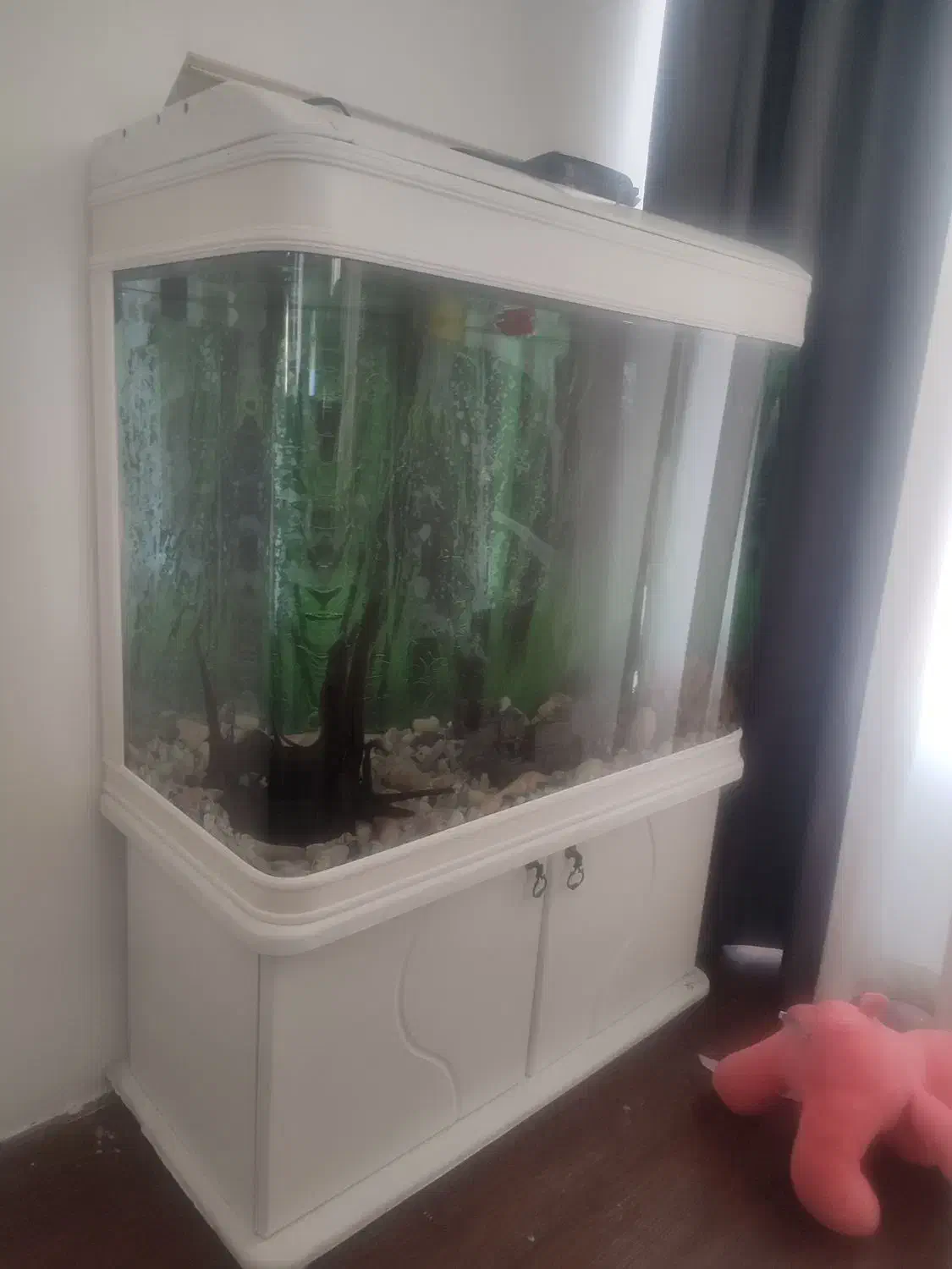 اکواریوم95/150|ماهی|تهران, جنتآباد مرکزی|دیوار