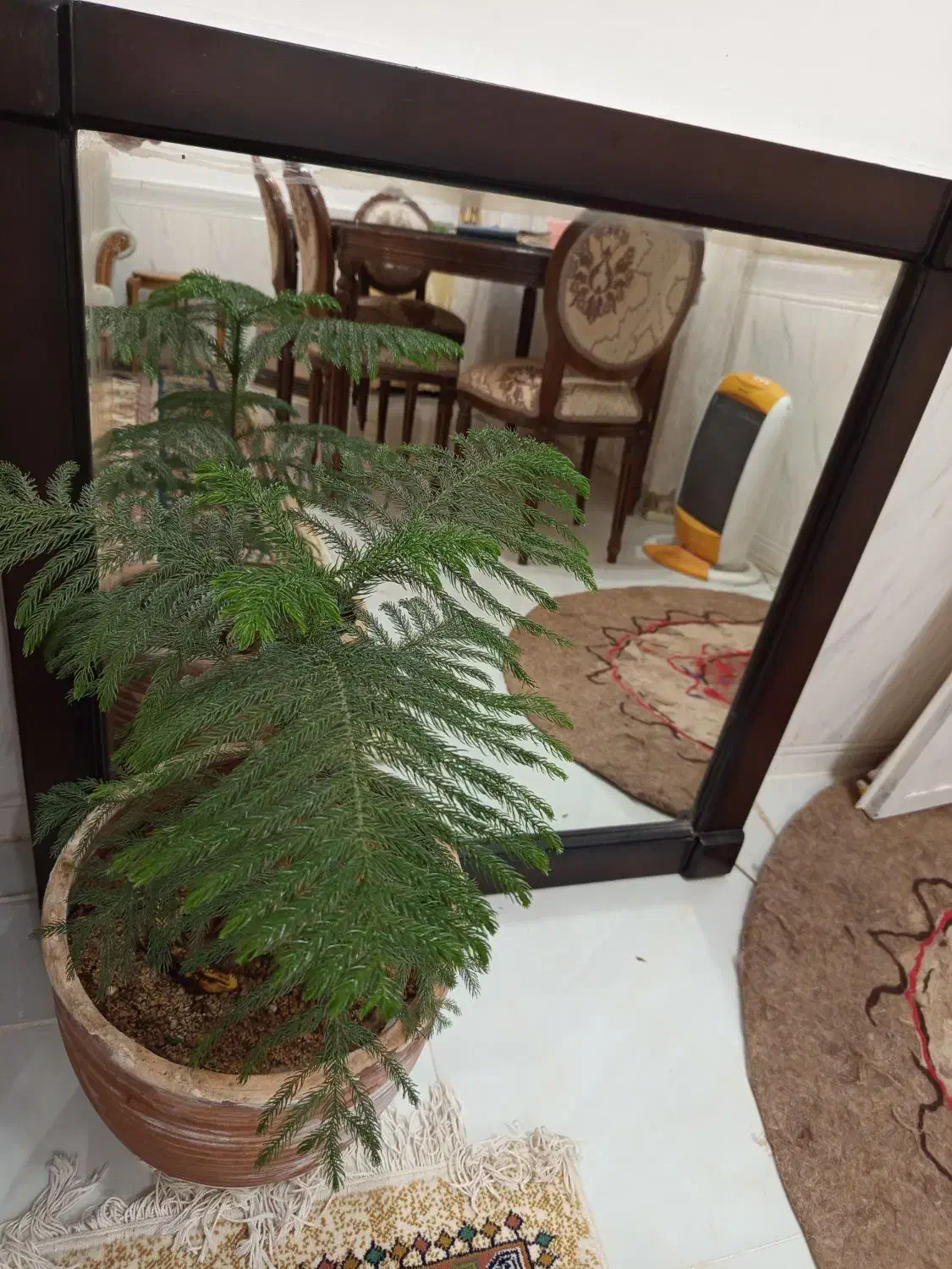 اینه|آینه|خواف, |دیوار