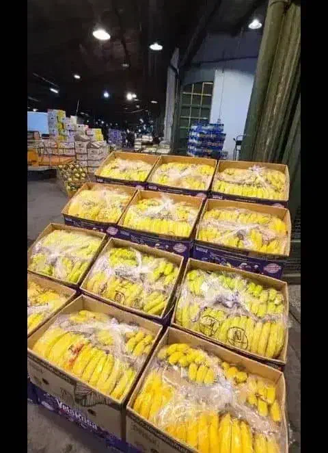 توزیع پخش میوه و تره بار با کمترین قیمت|خوردنی و آشامیدنی|تهران, میدان میوه و ترهبار مرکزی|دیوار