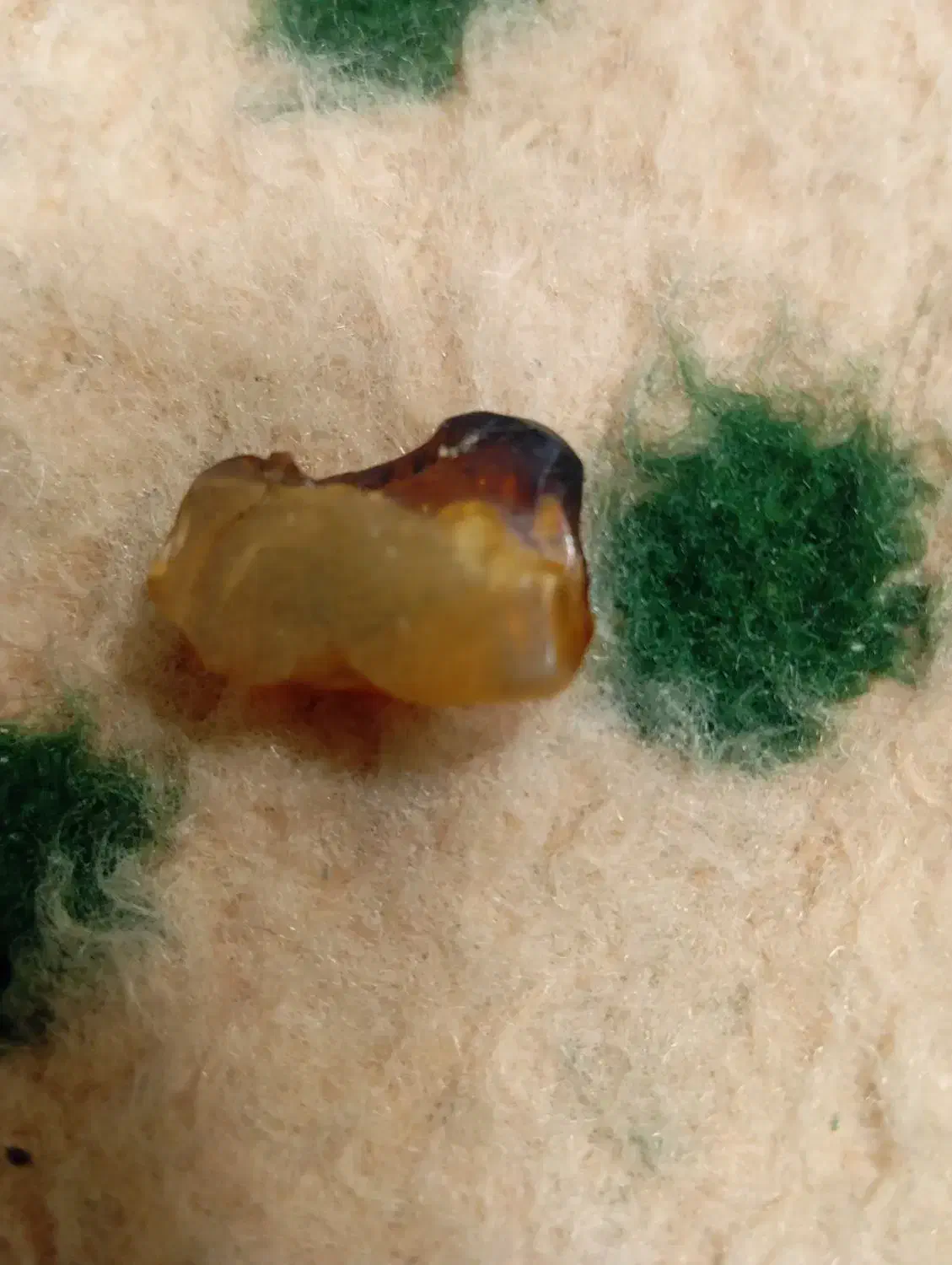 کهربا|کلکسیون اشیاء عتیقه|ششطراز, |دیوار