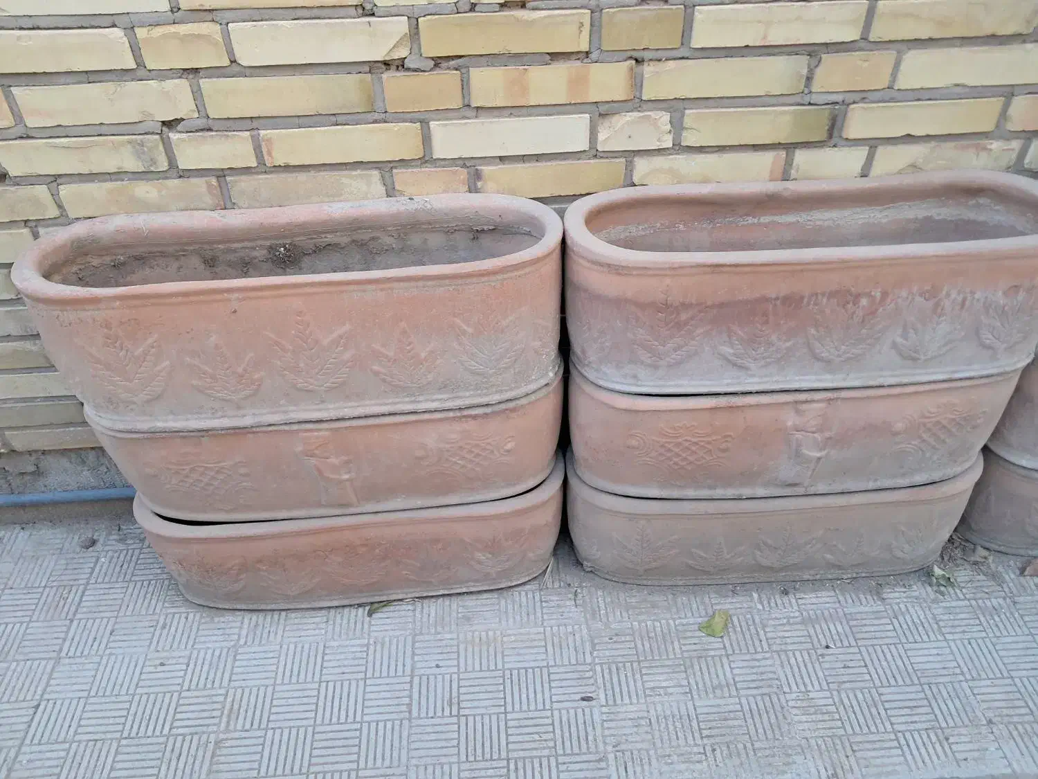 گلدان|گل و گیاه طبیعی|یزد, |دیوار