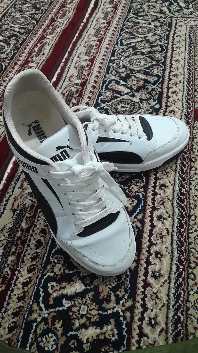 کفش puma|کیف، کفش، کمربند|سنندج, |دیوار