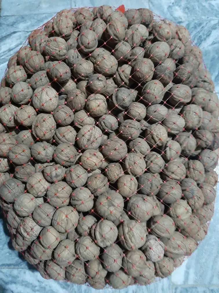 گردو|خوردنی و آشامیدنی|تهران, جیحون|دیوار