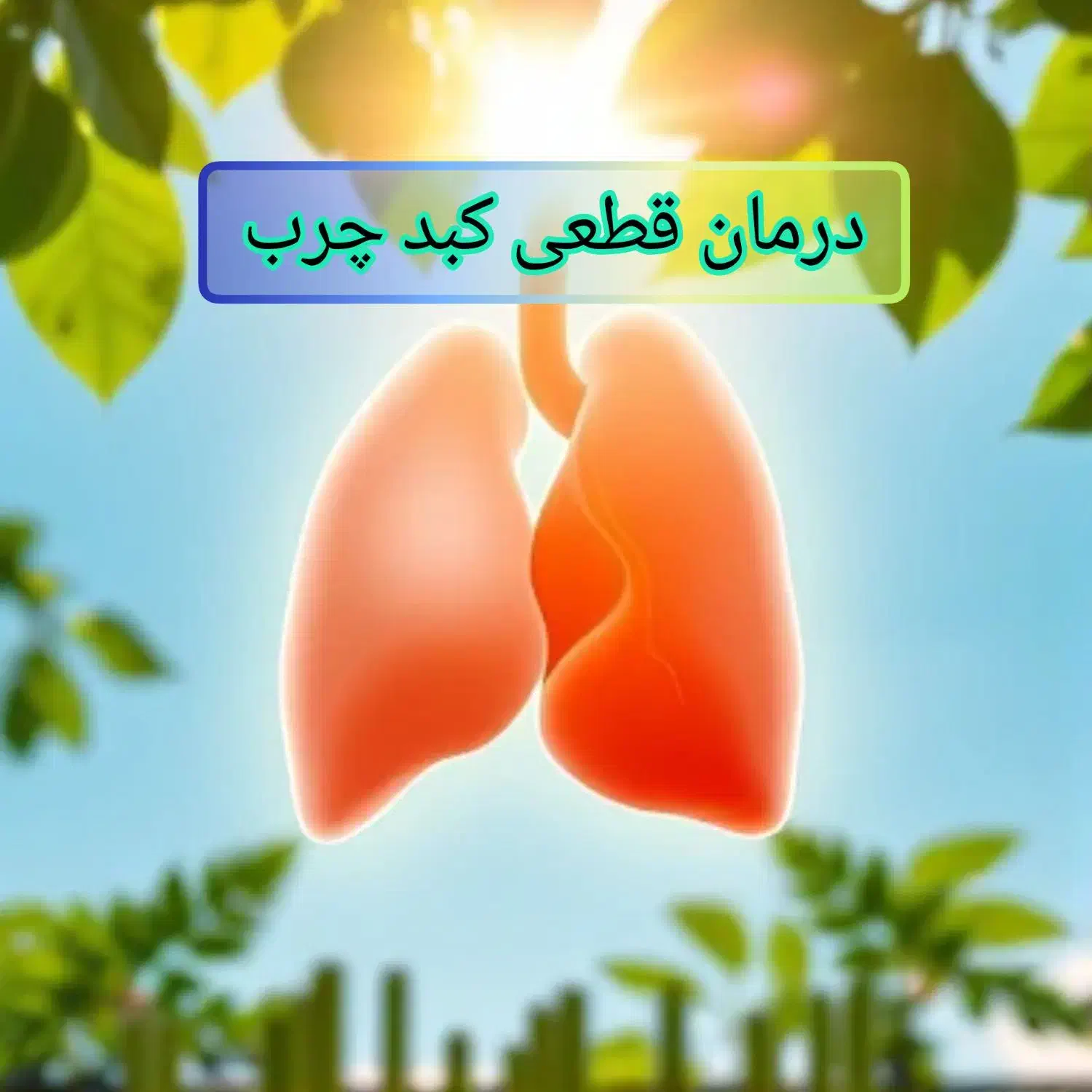 درمان قطعی کبد چرب به روش نوین|آرایشی، بهداشتی، درمانی|سلماس, |دیوار