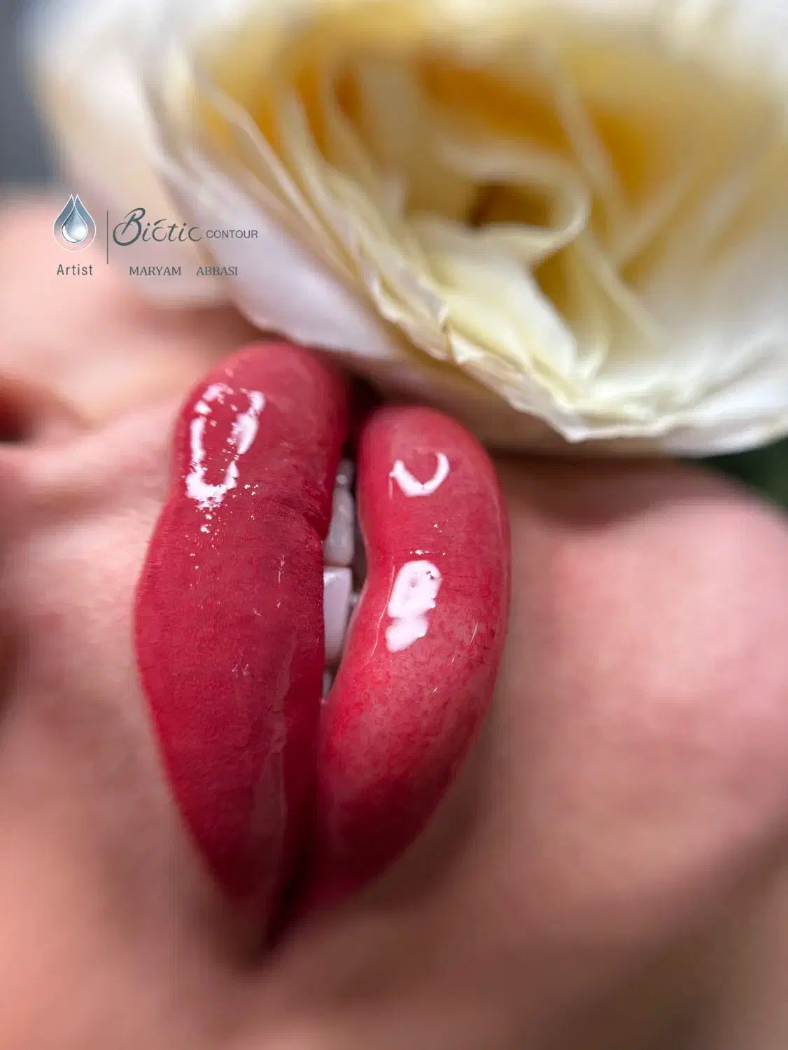 یلدای امسال با لبهای خوشرنگ|خدمات آرایشگری و زیبایی|رباطکریم, رباطکریم|دیوار