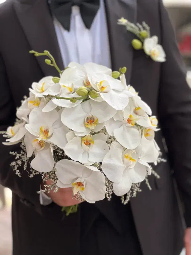 گلفروشی آنلاین|گل و گیاه طبیعی|رشت, پستک|دیوار