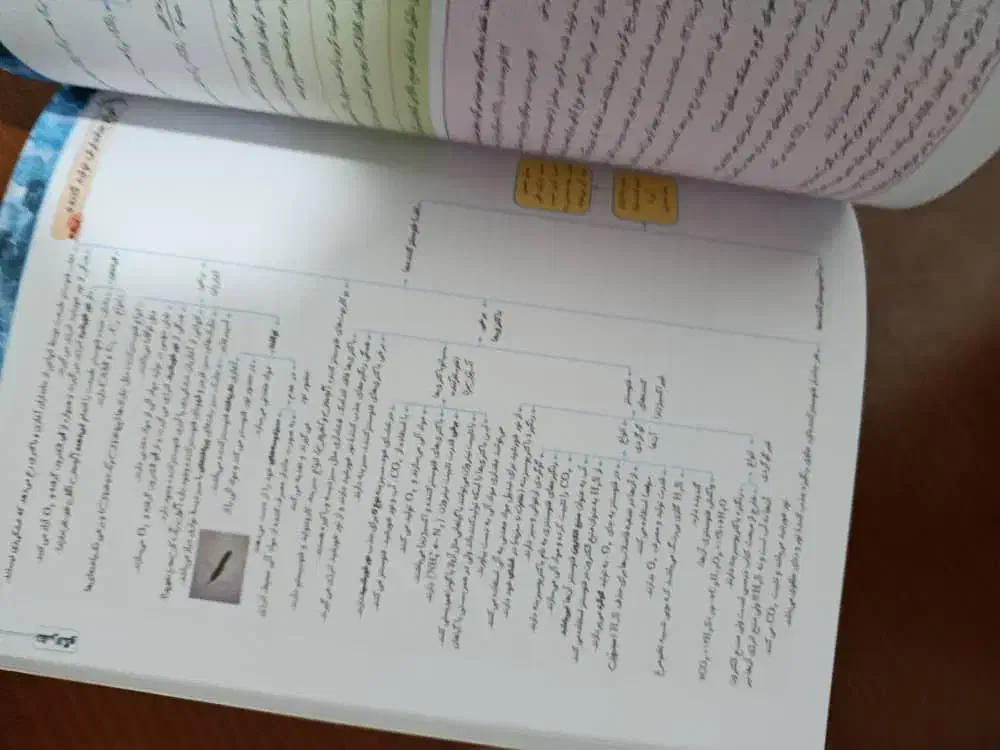 جامع زیست شناسی دوازدهم|کتاب و مجله آموزشی|جیرفت, |دیوار