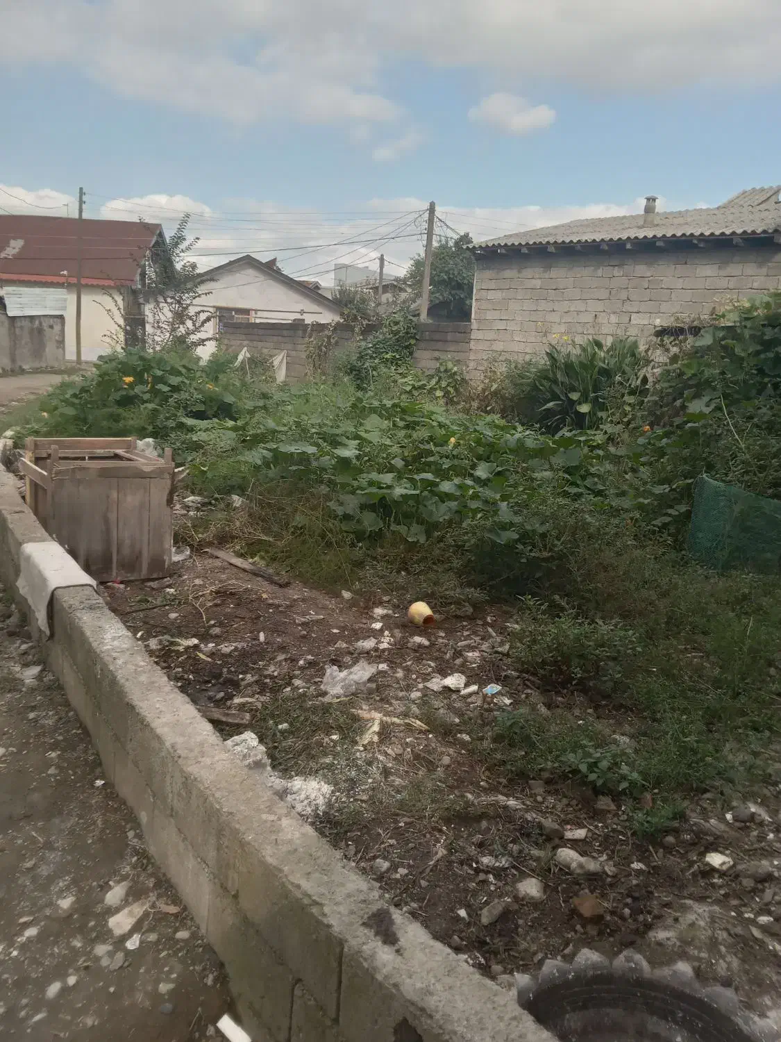 فروش زمین ۲۵۰ متری در دو قطعه ۱۲۵ متری در خالو باغ|فروش زمین و ملک کلنگی|لاهیجان, خالو باغ|دیوار