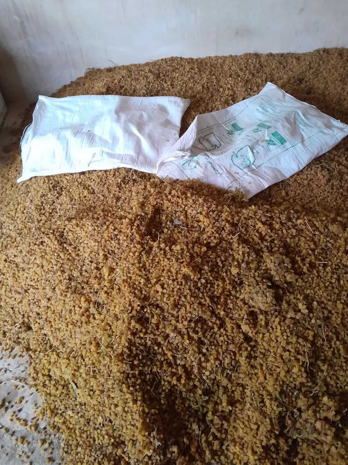 انگوری|خوردنی و آشامیدنی|باروق, |دیوار