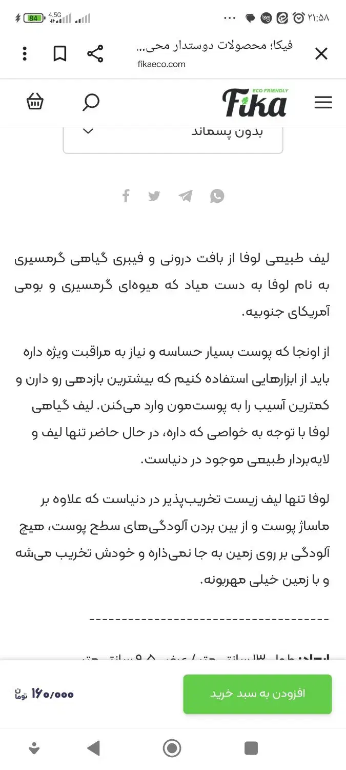 گیاه لیف|لوازم حمام|جویبار, |دیوار