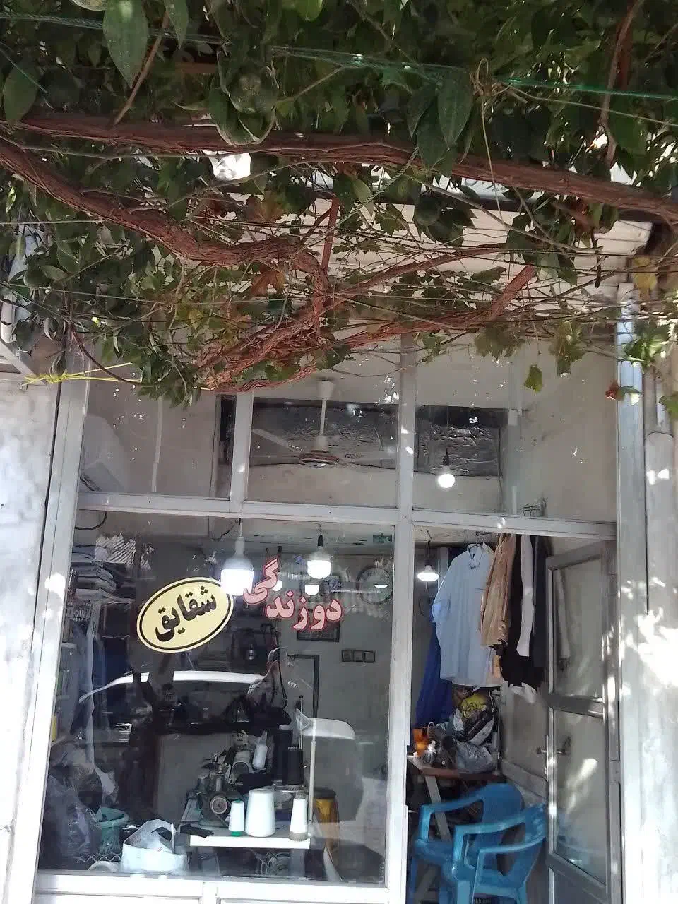 فروش مغازه ۳۱ متری بر خط اصلی مجاور مغازه های فعال|فروش مغازه و غرفه|قائمشهر, |دیوار