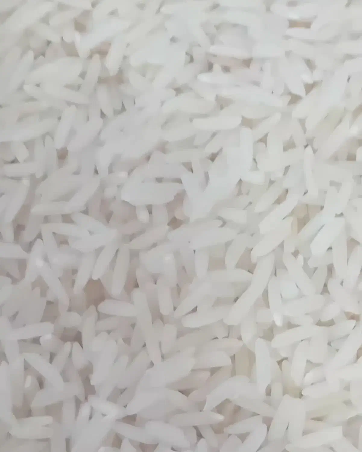 برنج هاشمی کتکان و باغدشت الموت و آستاته|خوردنی و آشامیدنی|محمدیه-قزوین, |دیوار