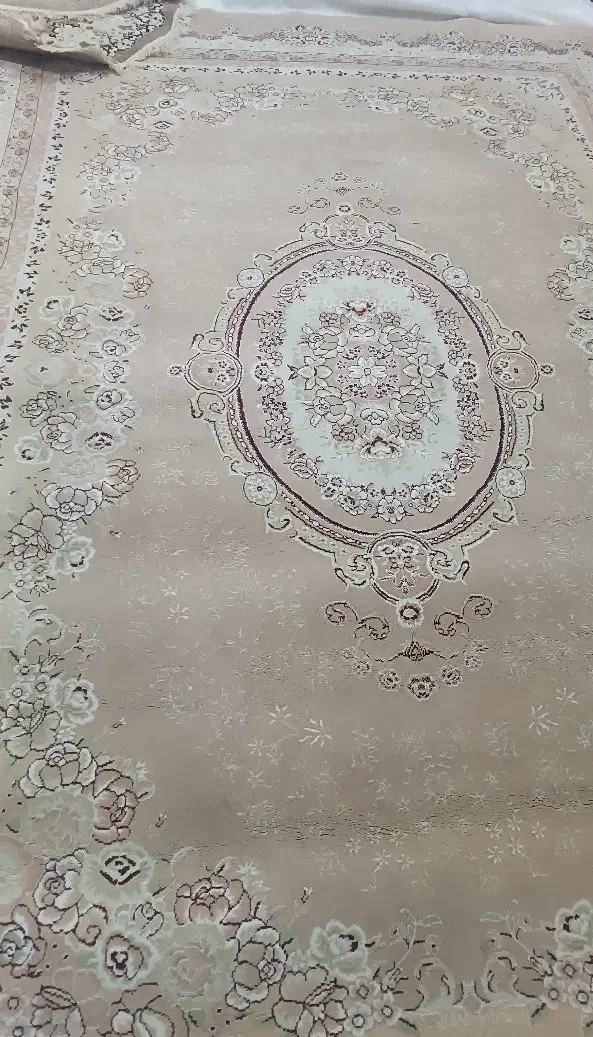 قالی دوازده متری و شش متری|فرش|ایذه, |دیوار