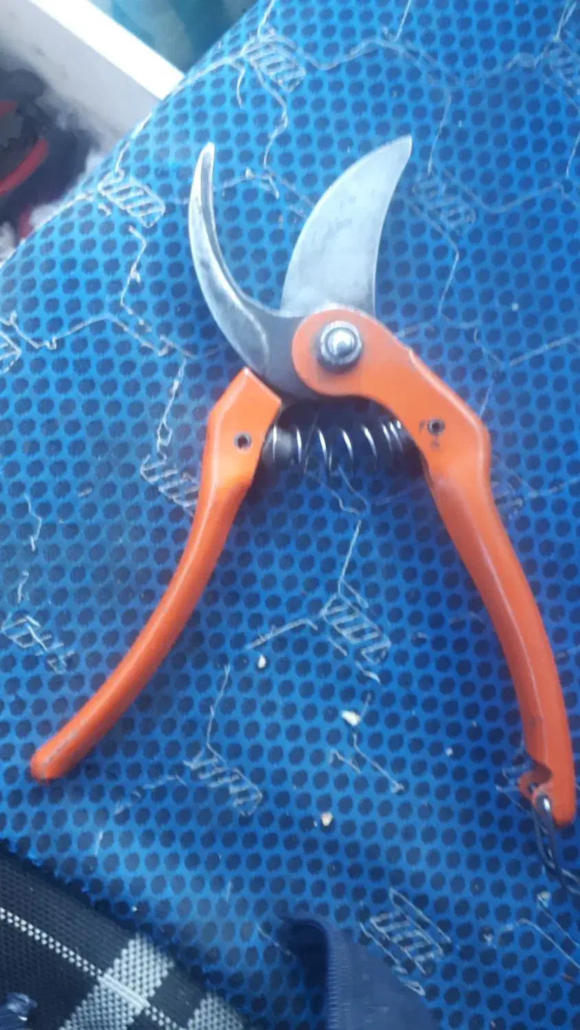 قیچی باغبانی|ابزارآلات|میاندوآب, |دیوار