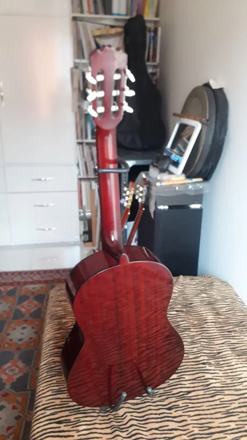 Prince|دوربین عکاسی و فیلمبرداری|مشکیندشت, |دیوار