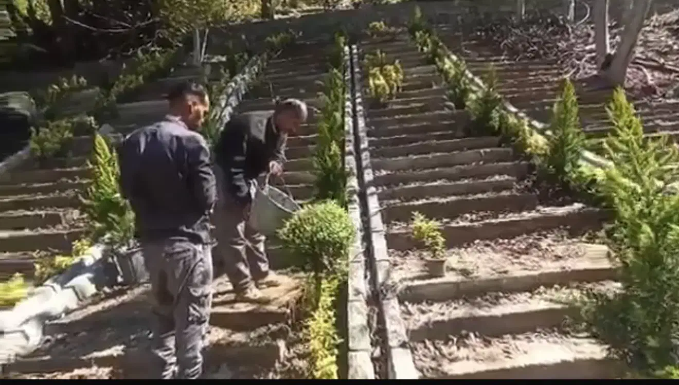 ۱۰۰۰ متر روستا ایول|فروش زمین و ملک کلنگی|کیاسر, |دیوار