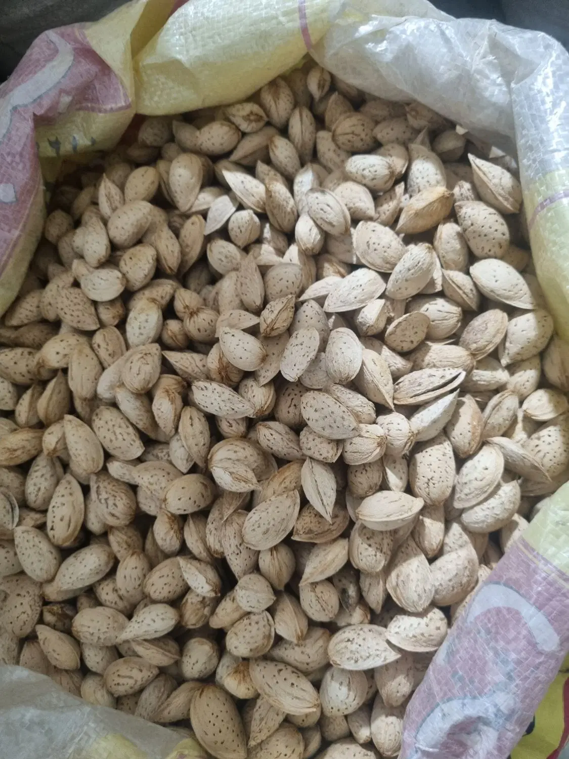 بادام|خوردنی و آشامیدنی|زاینده رود, |دیوار