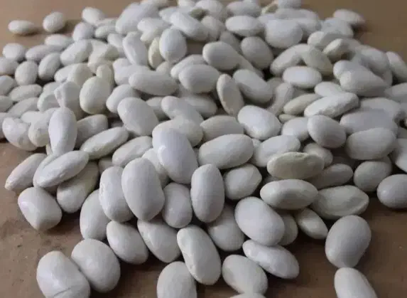 لوبیا سفید|خوردنی و آشامیدنی|تویسرکان, |دیوار