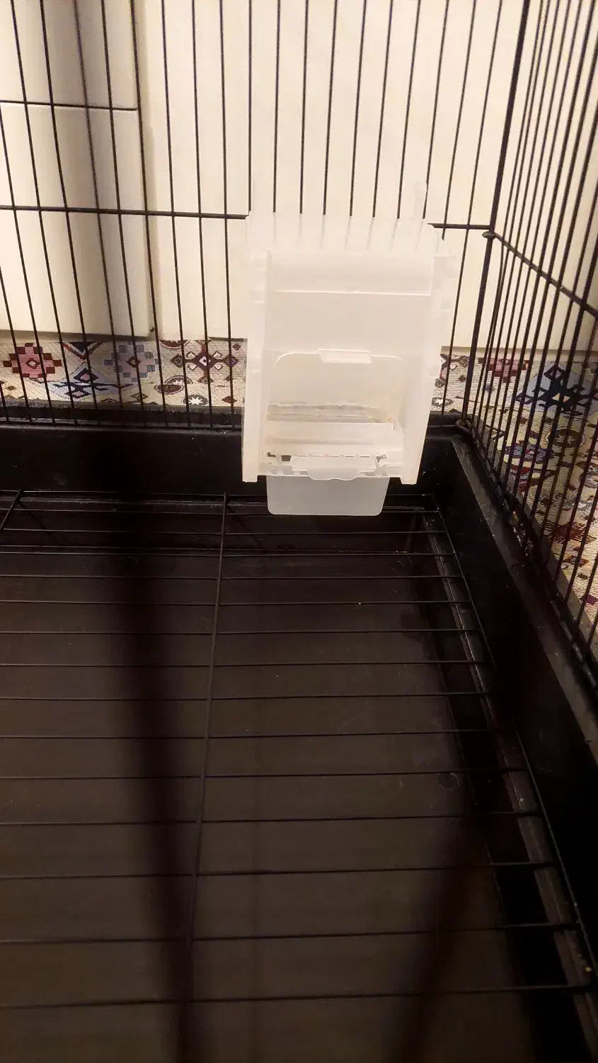 قفس بزرگ پرندگان عروس هلندی کاسکو ۱۰۳۴|لوازم جانبی حیوانات|تهران, هفده شهریور|دیوار