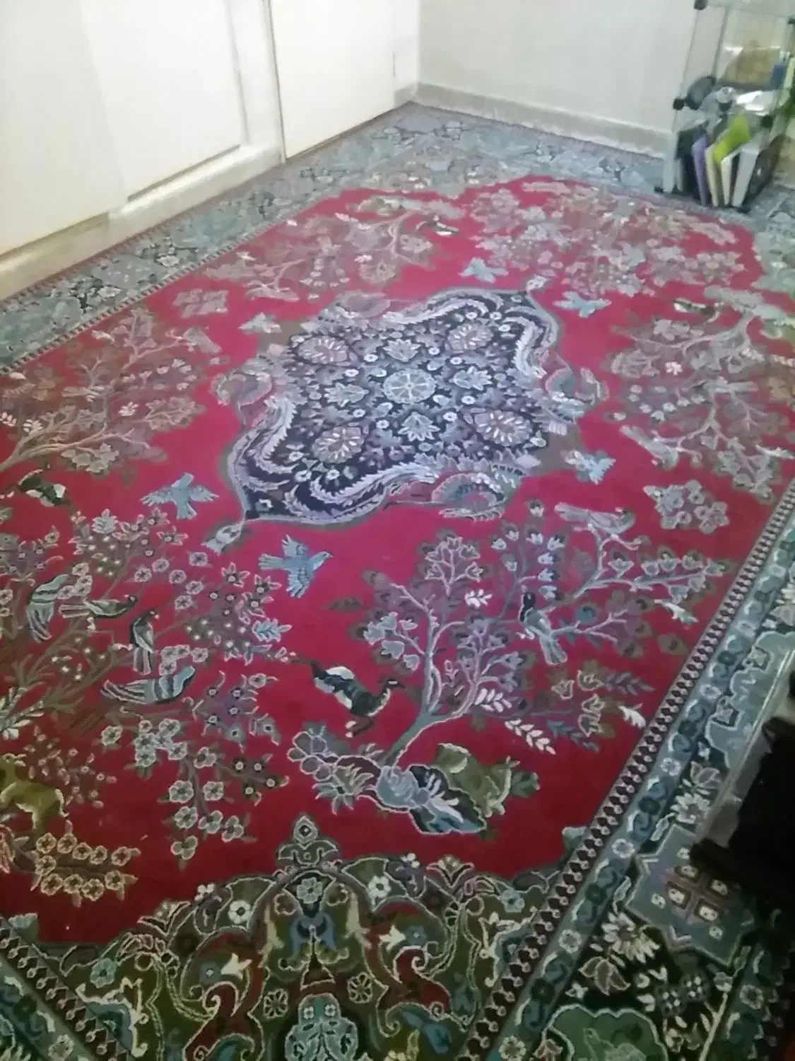 فرش 12متری|فرش|سمنان, |دیوار