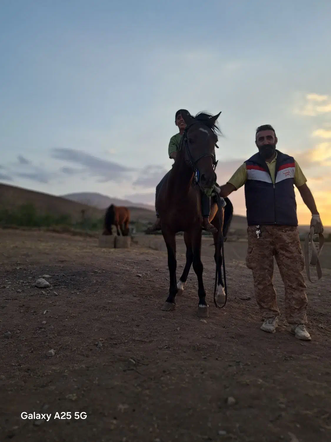 اسب  کهر  پر خون|اسب و تجهیزات اسبسواری|مرند, |دیوار