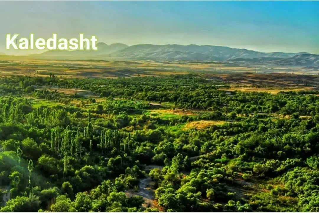 مزرعه و باغ ۲هکتاری/غرق آباد ساوه/منطقه سرسبز|فروش دفتر صنعتی، کشاورزی، تجاری|تهران, شهرک پرواز|دیوار