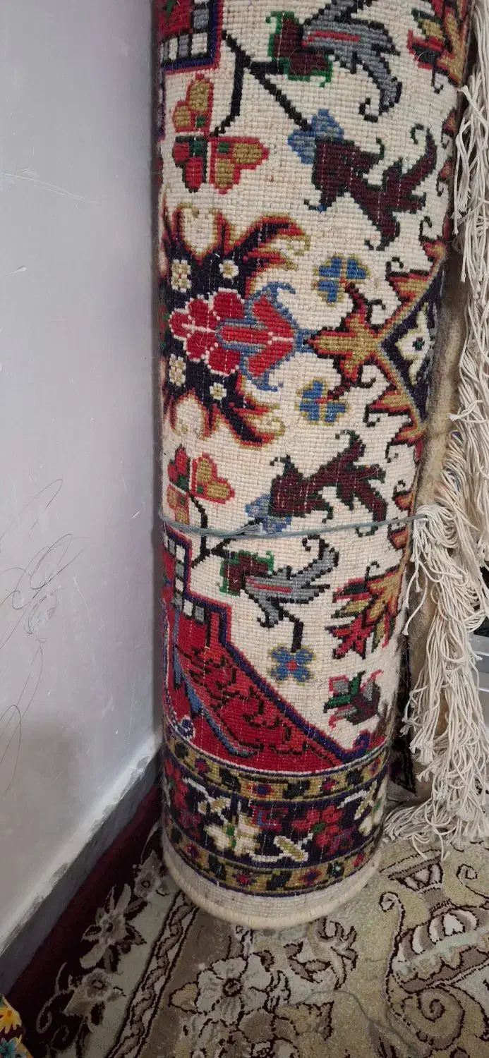 فرش|فرش|میانه, |دیوار