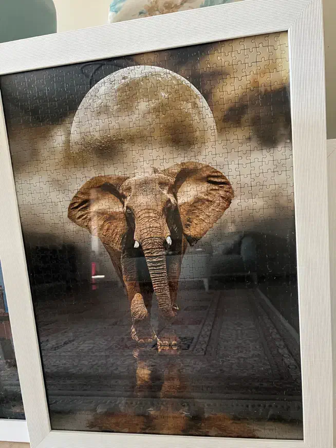 تابلو هنری پازلی|تابلو، نقاشی، عکس|تهران, تهران‌نو|دیوار