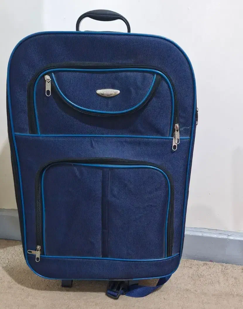 چمدان|کیف، کفش، کمربند|بوشهر, |دیوار