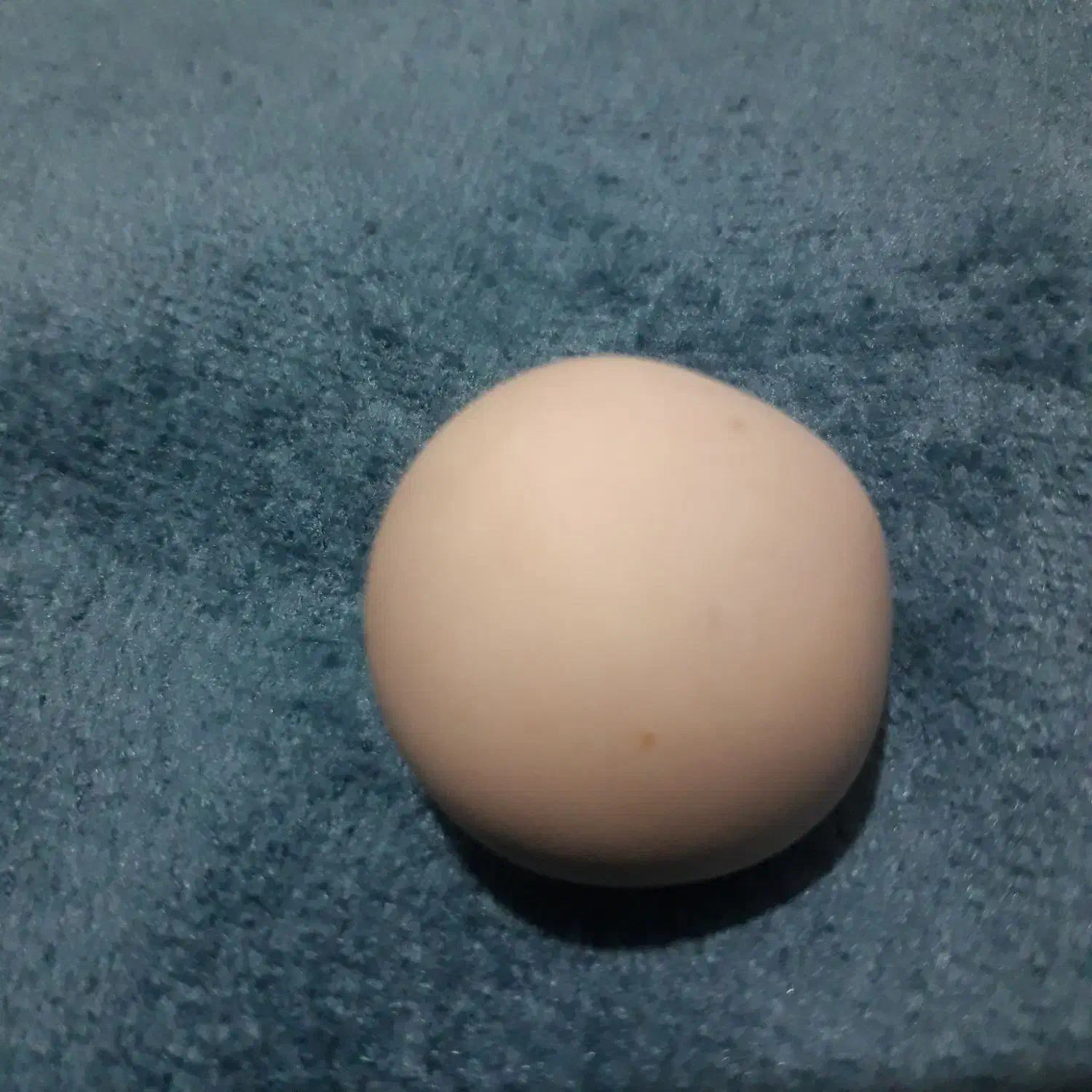 سنگ اسیاب|ابزارآلات|همدان, |دیوار