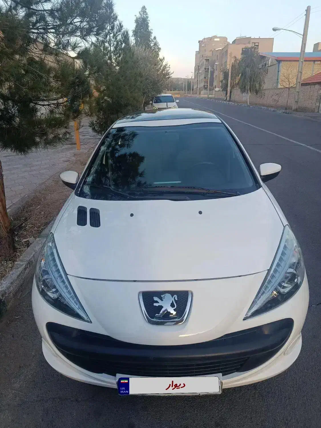 ۲۰۷پانا ۱۴۰۰|خودرو سواری و وانت|قم, سالاریه|دیوار