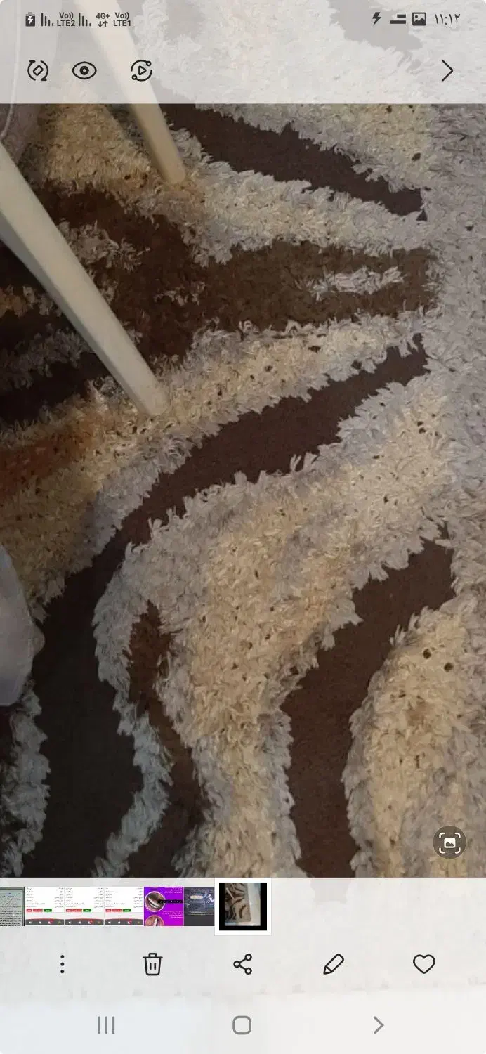 قالی ۴ متری در حد نو|فرش|اهواز, زندوکیلی|دیوار