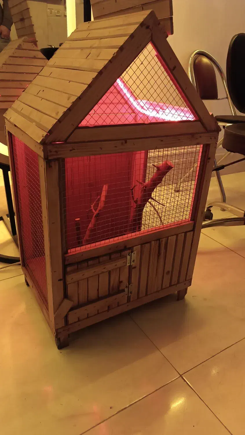 قفس پرنده و حیوانات|لوازم جانبی حیوانات|قرچک, صالح آباد|دیوار