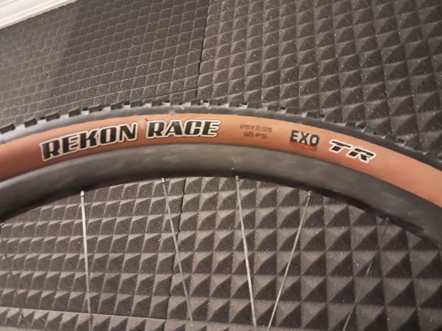 لاستیک دوچرخه ۲۹ مکسس تیوپلس|دوچرخه، اسکیت، اسکوتر|شیراز, فرهنگ شهر|دیوار