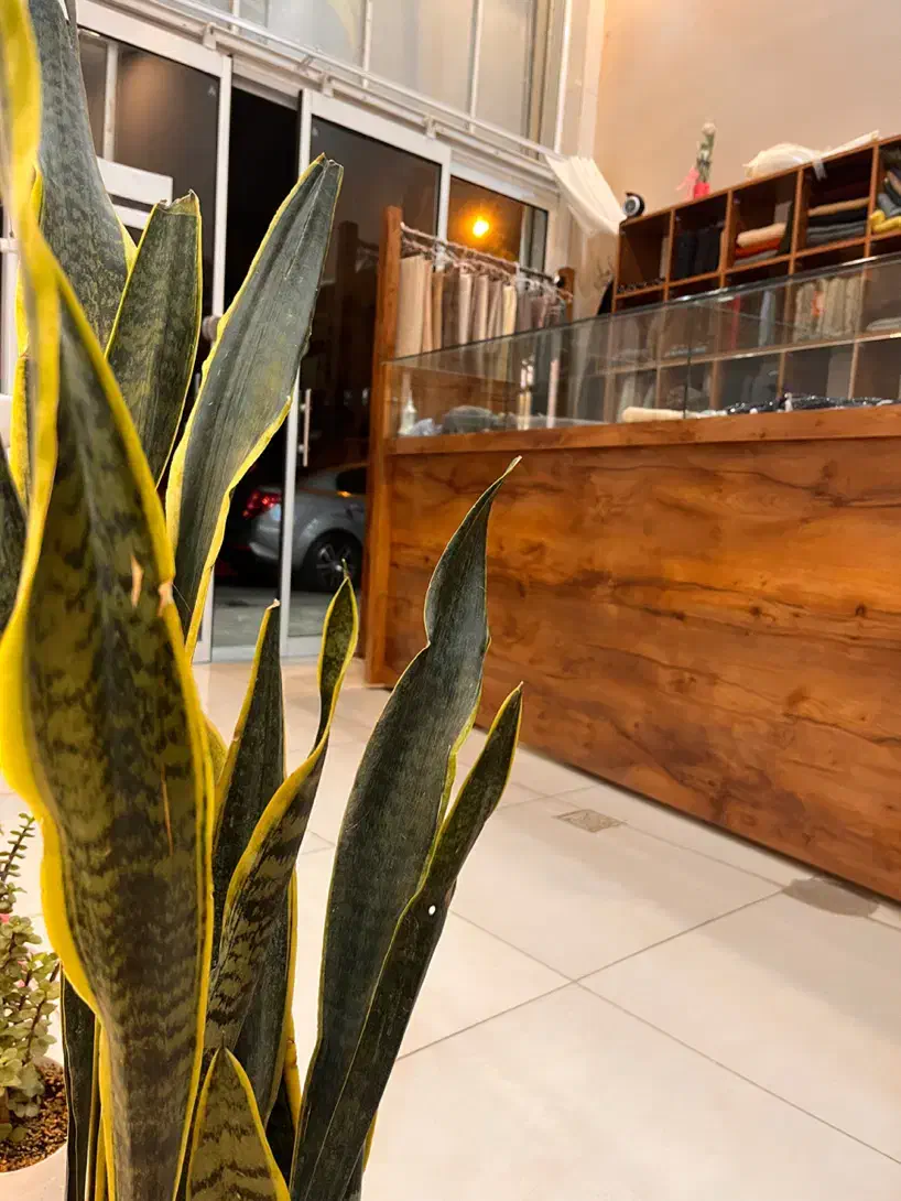 واگذاری دکور|فروشگاه و مغازه|قائن, |دیوار