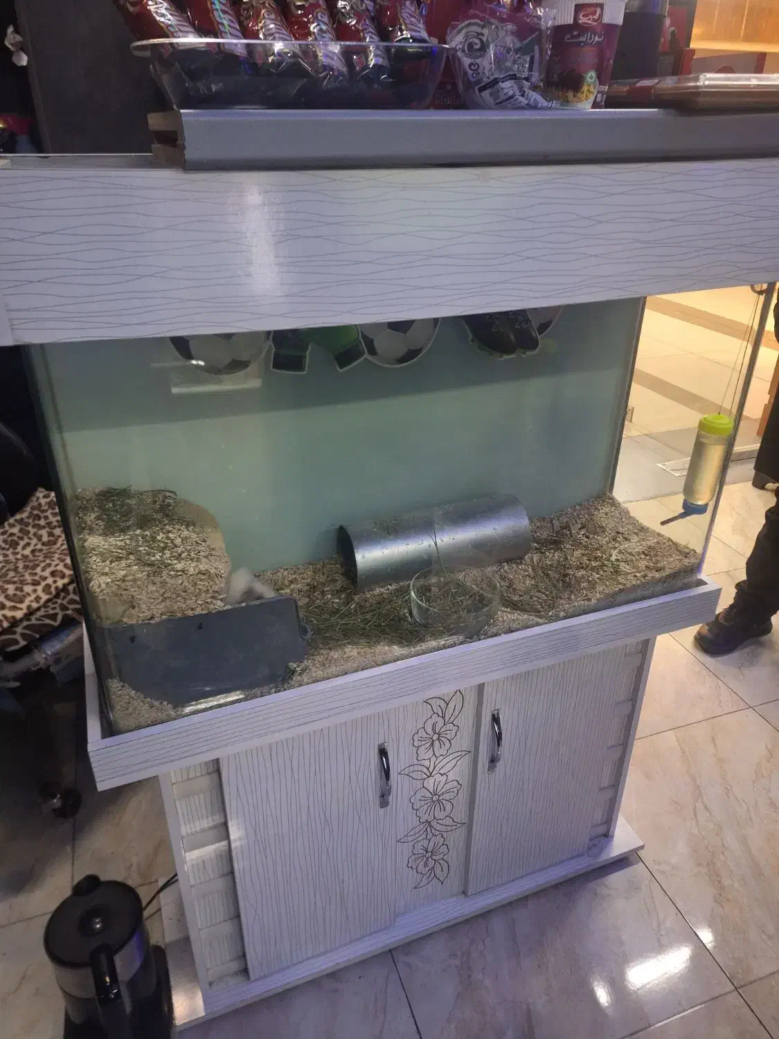 آکواریوم شیشه خم|موش و خرگوش|تهران, پونک|دیوار