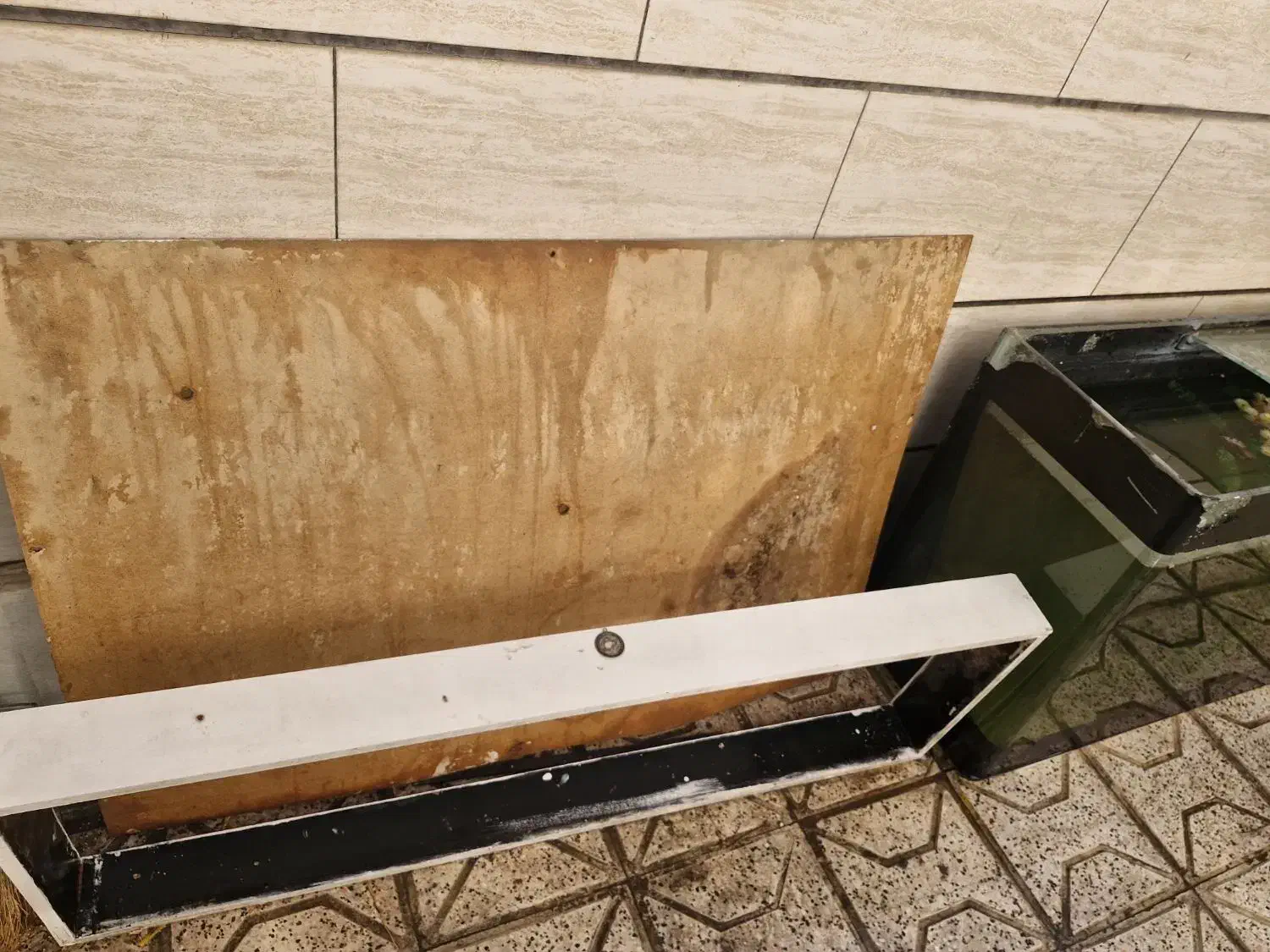 آکواریوم شرکتی شیشه خم10میل|ماهی|مشهد, حضرت حجت|دیوار