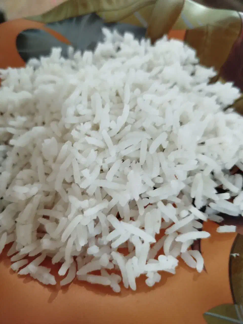 برنج طارم محلی  هاشمی  آدرس قنوات|خوردنی و آشامیدنی|قم, سراجه|دیوار