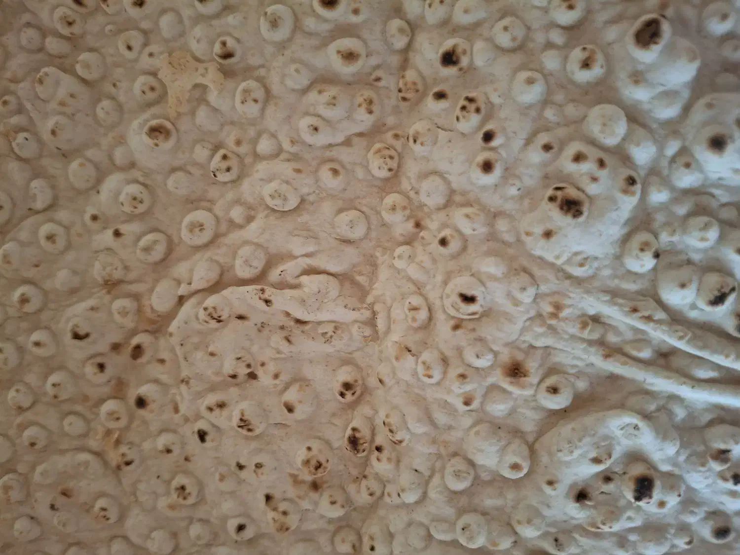 ب یک فروشنده نان|استخدام بازاریابی و فروش|یاسوج, |دیوار