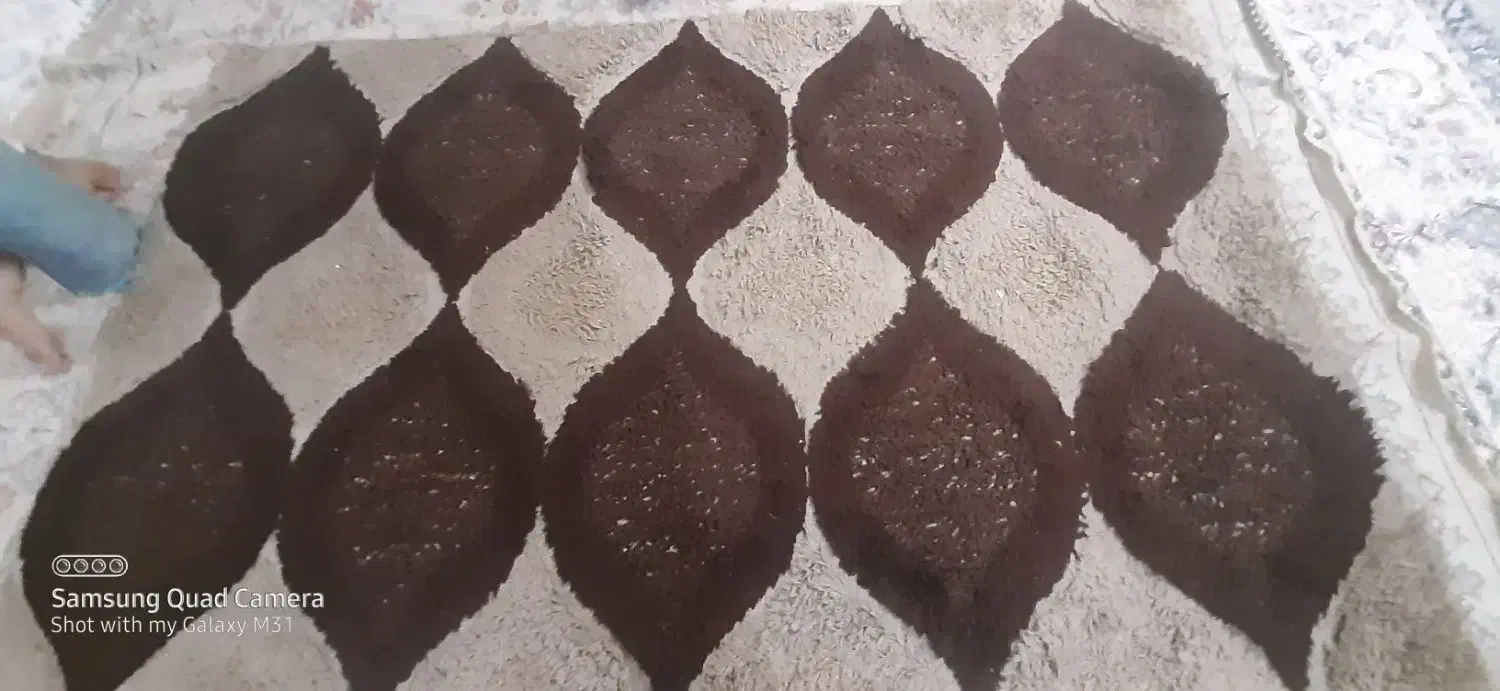 فرش سالم و در حد نو|گلیم، جاجیم، گبه|اصفهان, ملکشهر|دیوار