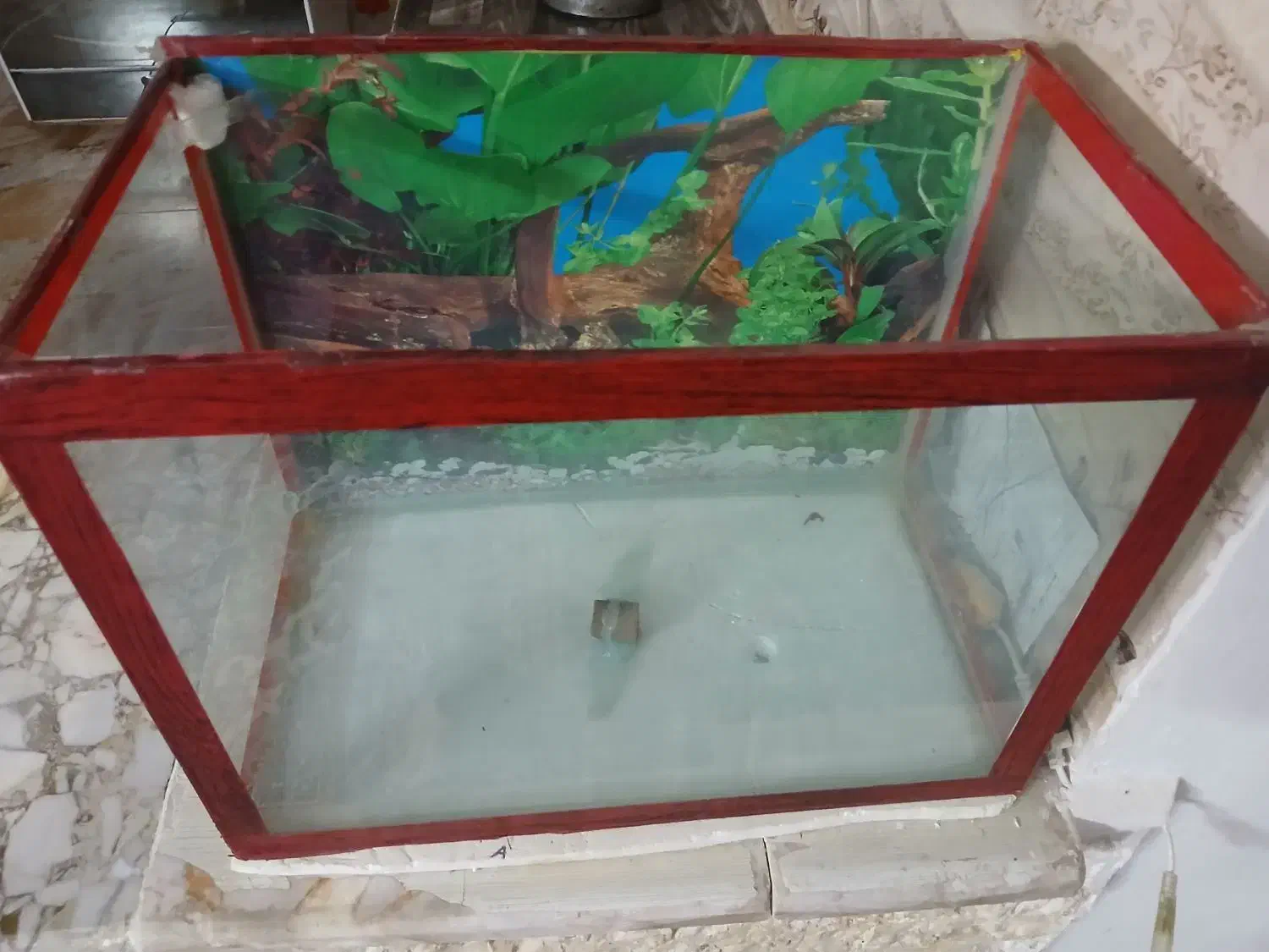 فروش آکواریوم سالم|ماهی|شاندیز, |دیوار